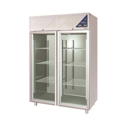 Armoire réfrigérée négative -18/-22°C - 1200L - 2 portes vitrées - Avec groupe logé