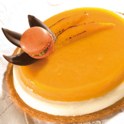 Flexipan® Origine - Double...