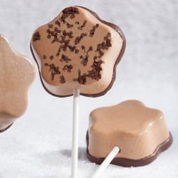 Flexipan® Origine - Fleurs...