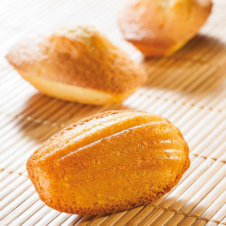 Flexipan® Origine - Madeleines 40 empreintes plaque 400 x 600 mm