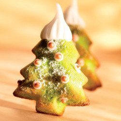 Flexipan® Origine - Sapins...
