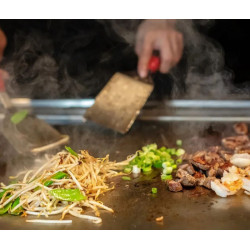 DIAMOND - Plaque "Teppanyaki" gaz 2 zones x 7 kW de table