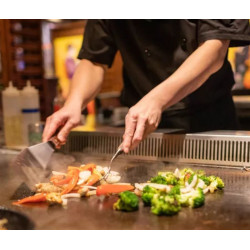 DIAMOND - Plaque "Teppanyaki" gaz 2 zones x 7 kW de table