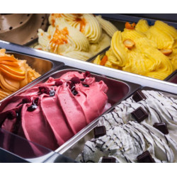 DIAMOND - Pasteurisateur & turbine 35 L/h Condenseur à eau VV/TS