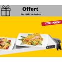 OFFERT- PLAQUE CHAUFFANTE WP1200