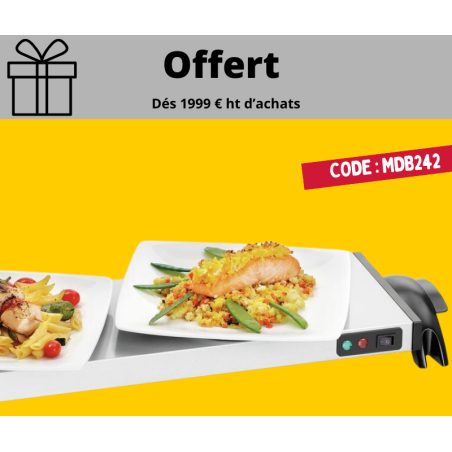 OFFERT- PLAQUE CHAUFFANTE WP1200