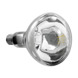 BARTSCHER - Lampe...