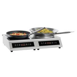 Combinaison plaque/wok...