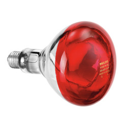 Ampoule infrarouge IWL250D