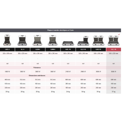 AMMIC - PLAQUE A SNACKER FONTE Plaque à snacker lisse double GLL-10