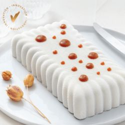 Flexipan® Origine Rectangle Strié 240x160mm, prof. 50 mm support métalique