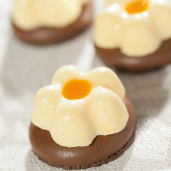 Flexipan® Origine -...