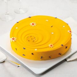 Flexipan® Inspiration - Tourbillon Toile ronde onde de choc pour FlexiForm FX-00328