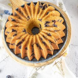 moule Savarin 2 emp. pour plq 400x300 mm