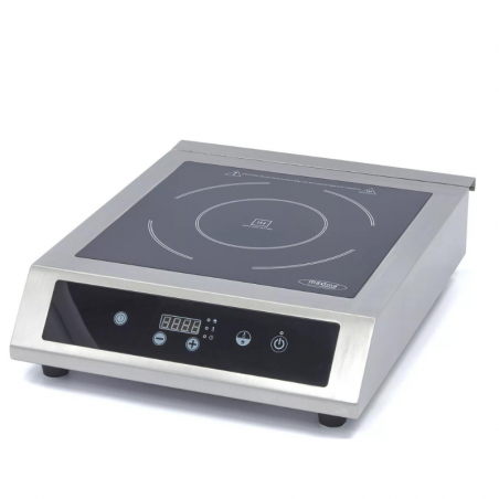 PLAQUE A INDUCTION PROFESSIONELLE XL 3500W